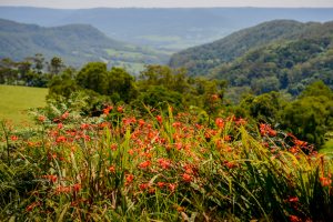 Luxe South Coast Tours