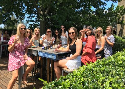 Girls-only-wine-tours-berry-south-coast